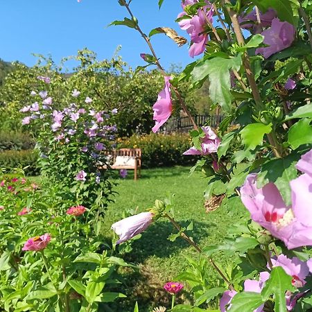 Apartamentos Calm & Nature - Adults Only Cabezon de Liebana Exterior foto