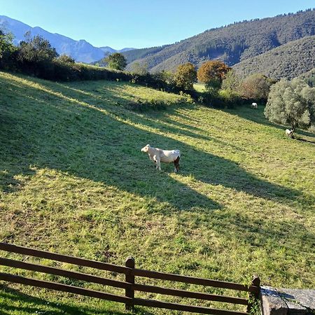 Apartamentos Calm & Nature - Adults Only Cabezon de Liebana Exterior foto