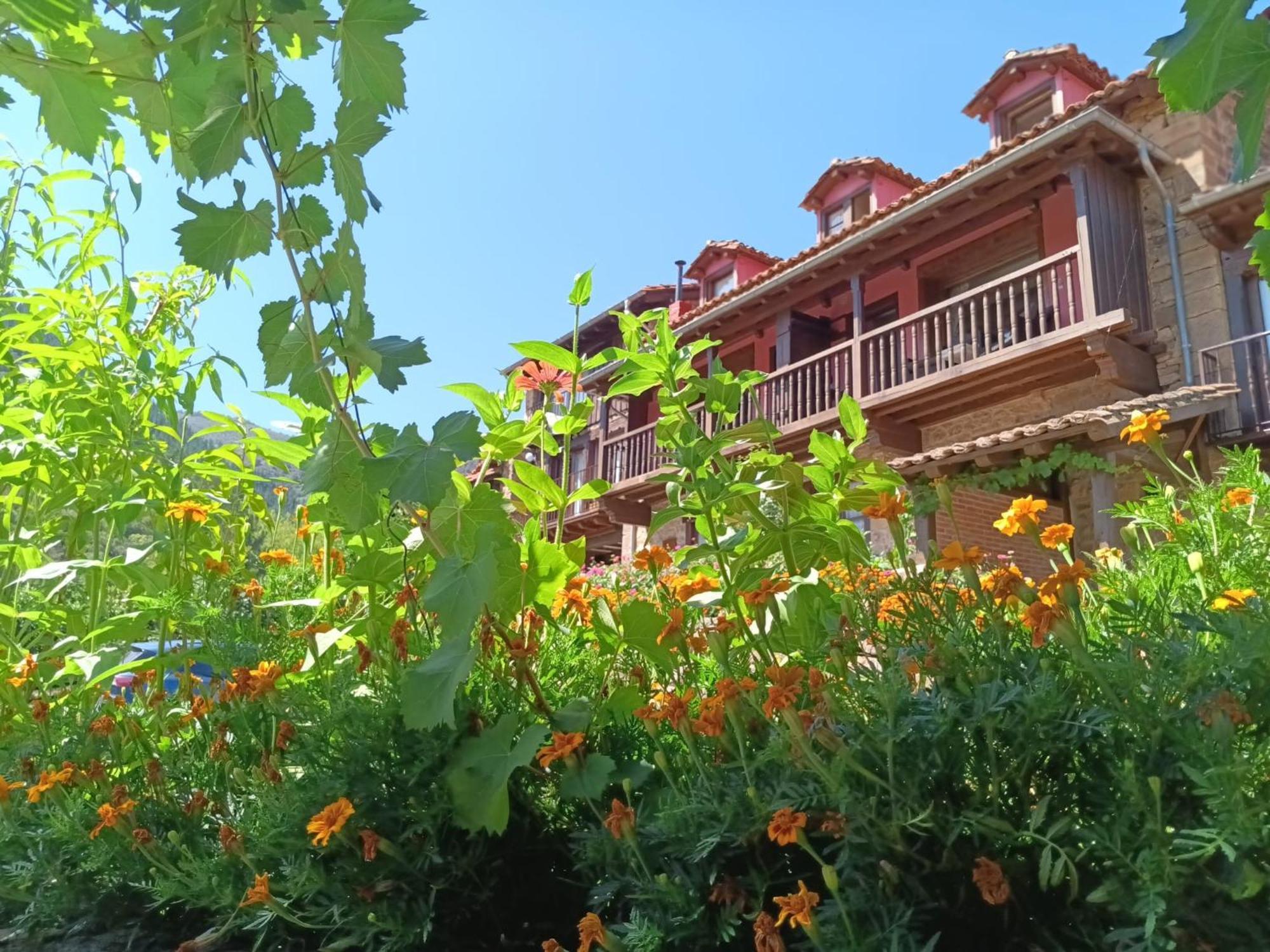 Apartamentos Calm & Nature - Adults Only Cabezon de Liebana Exterior foto