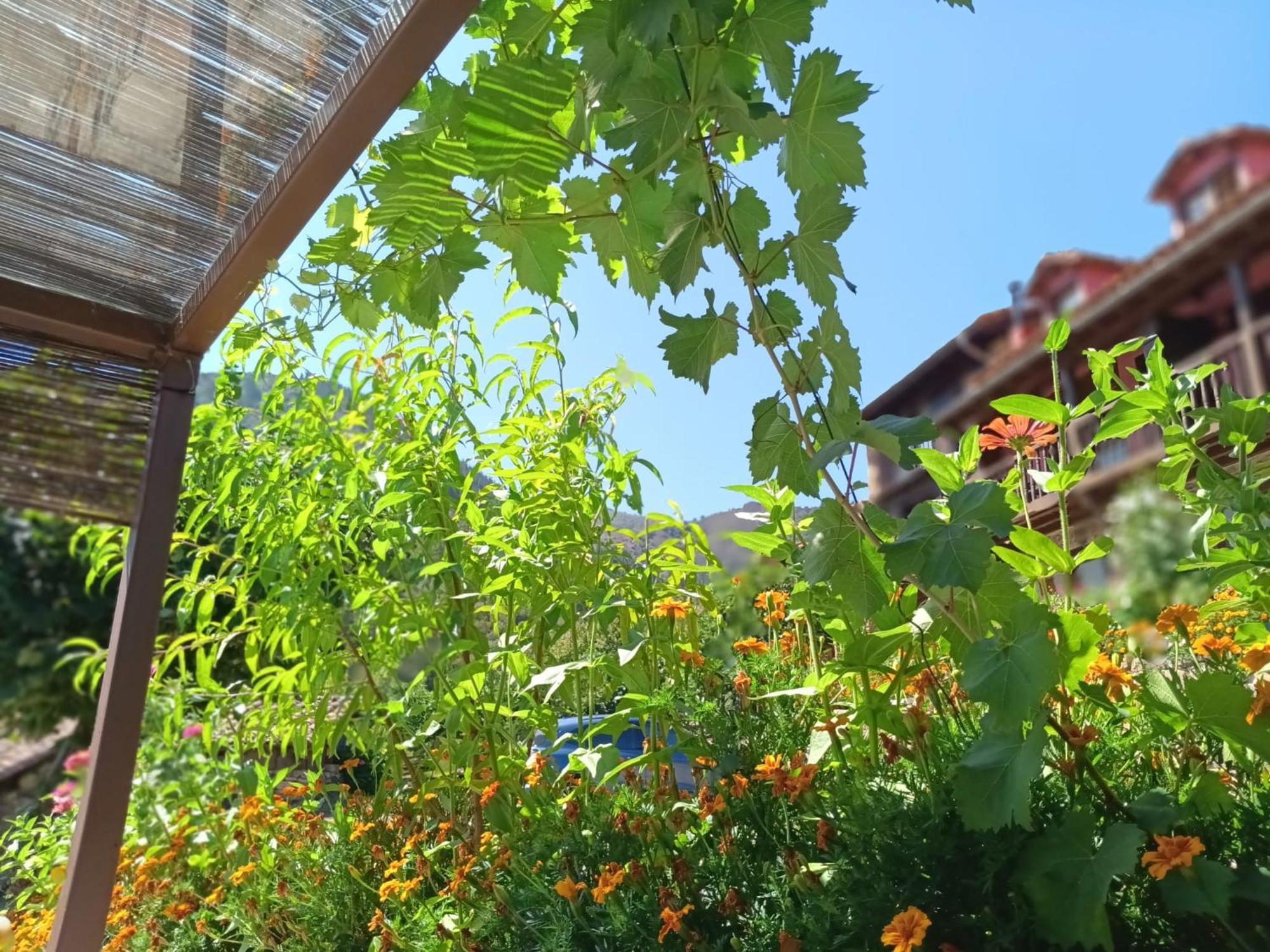 Apartamentos Calm & Nature - Adults Only Cabezon de Liebana Exterior foto