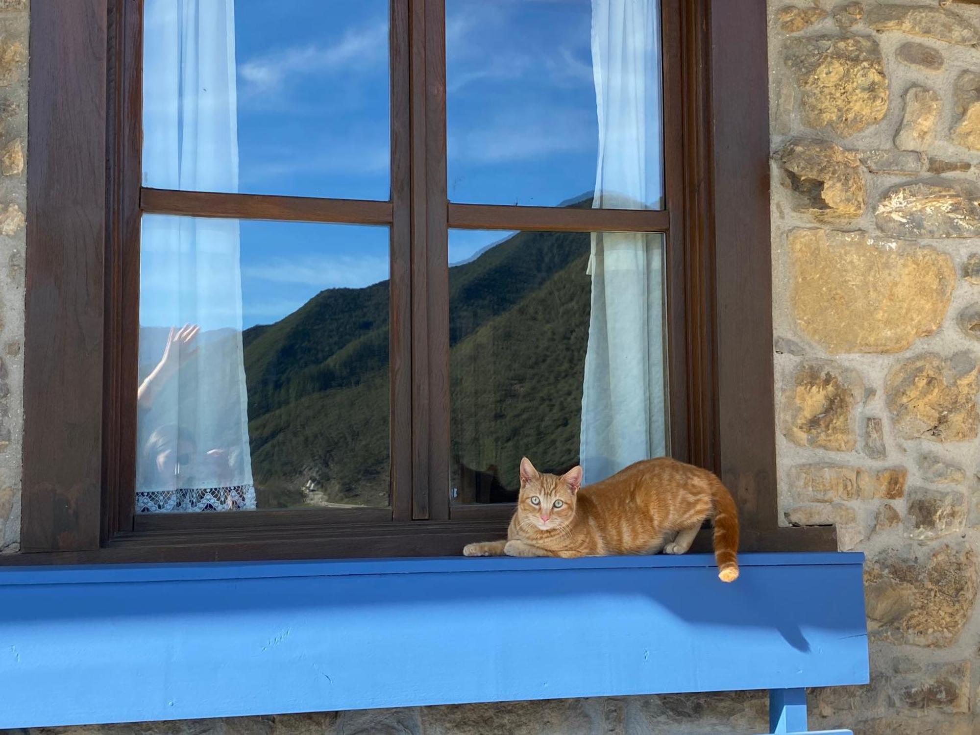 Apartamentos Calm & Nature - Adults Only Cabezon de Liebana Exterior foto