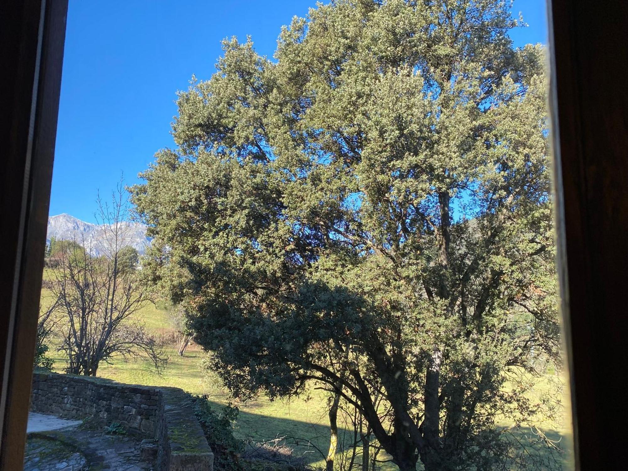 Apartamentos Calm & Nature - Adults Only Cabezon de Liebana Exterior foto