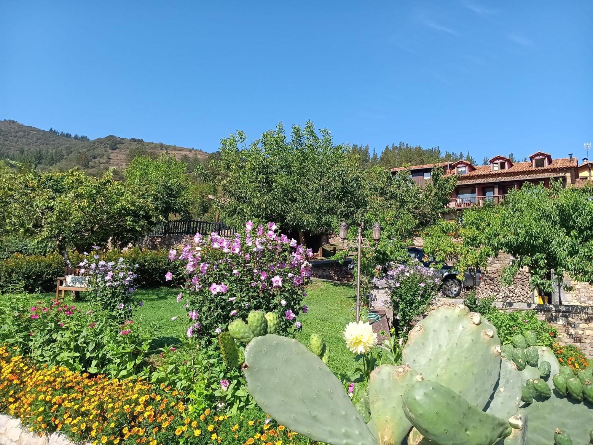 Apartamentos Calm & Nature - Adults Only Cabezon de Liebana Exterior foto