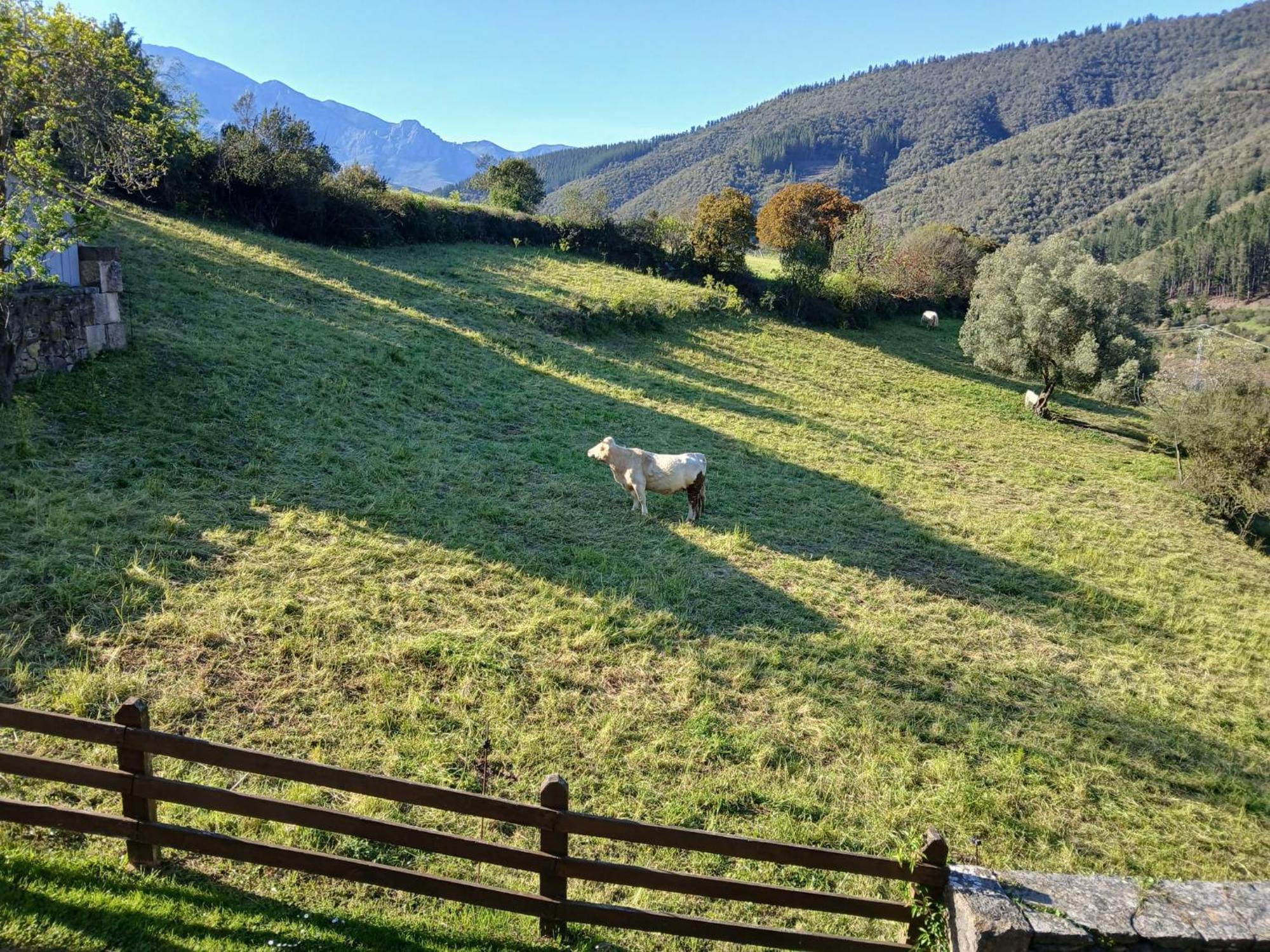 Apartamentos Calm & Nature - Adults Only Cabezon de Liebana Exterior foto